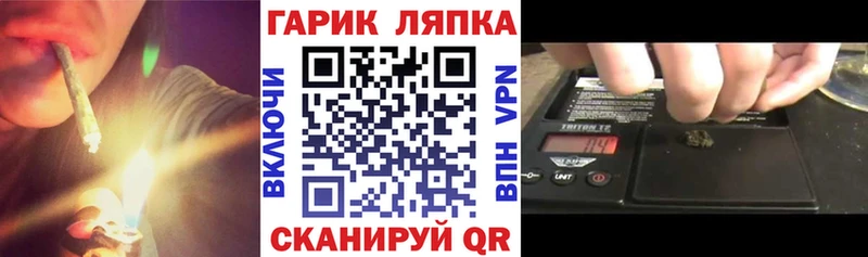 ГАШ Premium Советская Гавань