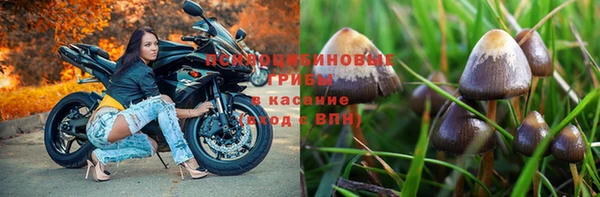 mix Аркадак