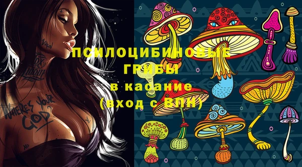 винт Арсеньев